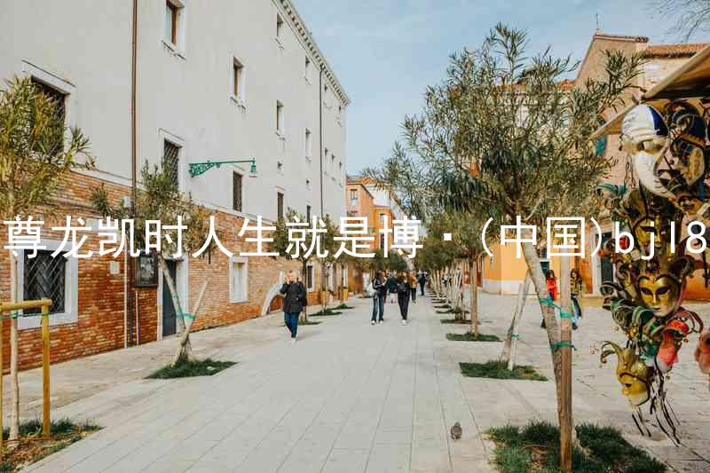 尊龙凯时人生就是博·(中国)bjl8